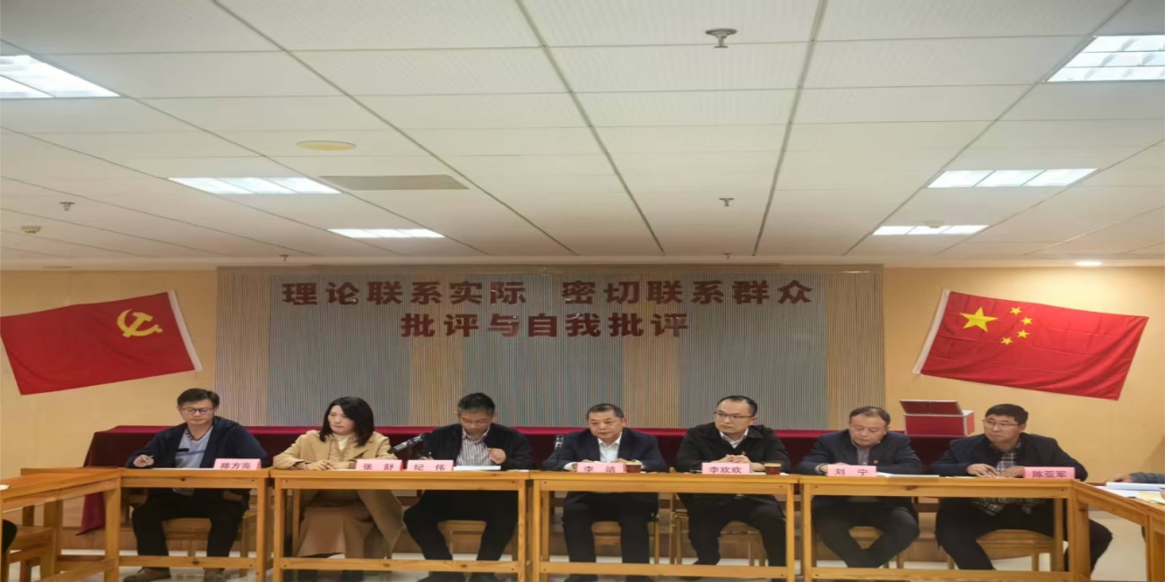 水利設(shè)計(jì)院召開(kāi)2024年組織生活會(huì)及民主評(píng)議黨員